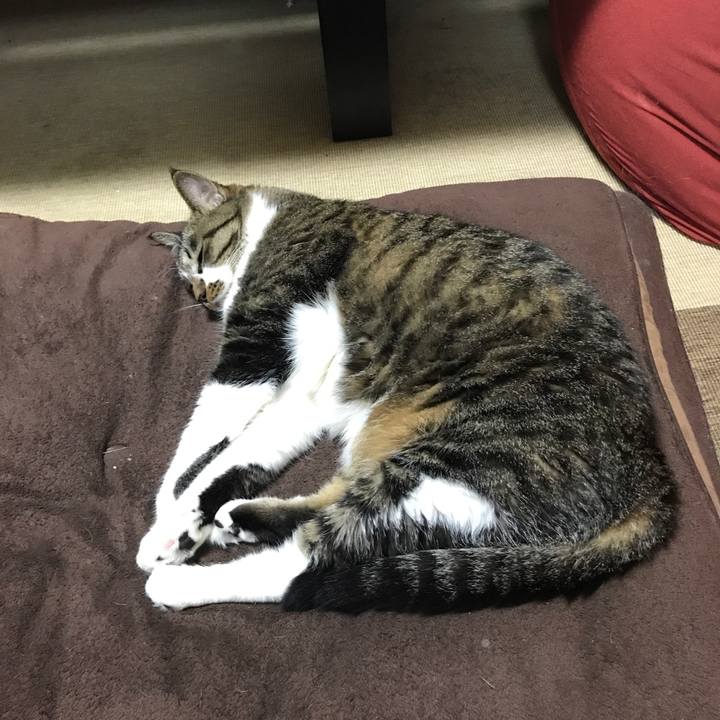 F254d762 17af 43a2 a1a2 9d5481ba7a6a