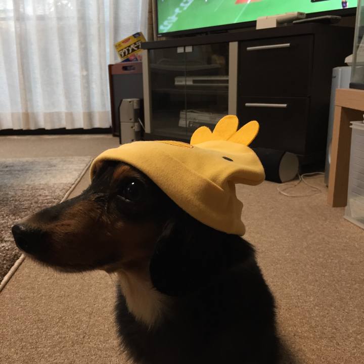 F25536cc f17f 4471 8a1a a36d4f757570