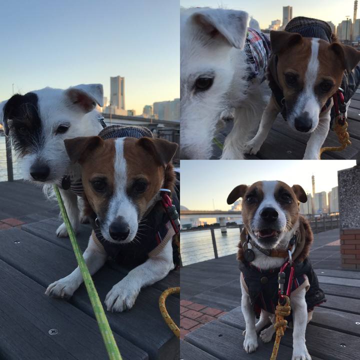 F2553cb8 eb79 4de0 a550 bdeb4e6c22e8