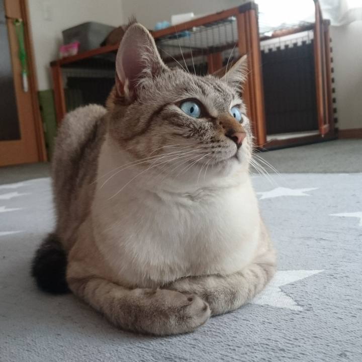 F255a108 cc58 4d42 a862 592ebbfd9f9d