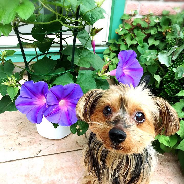 F255a91e d85a 46d7 a704 cb19e4844afb