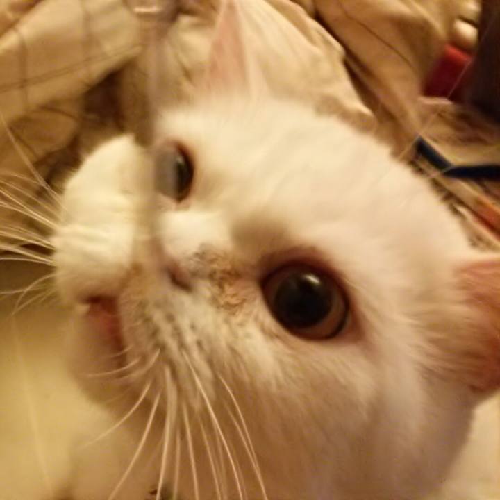 F2568f4e f2a3 4667 bee3 944cd9ec0d6f