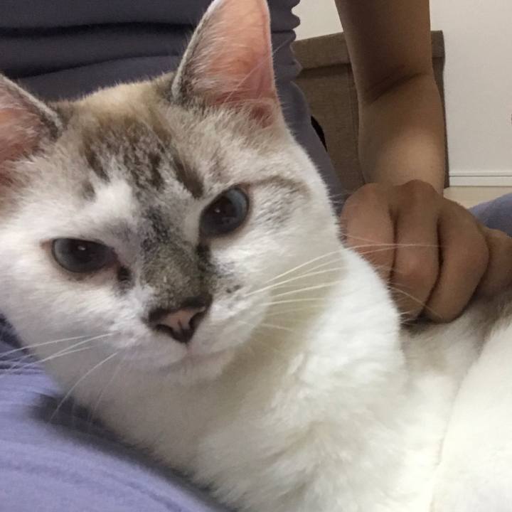 F2570141 7818 4ec5 8cea 1429e66b2dc8