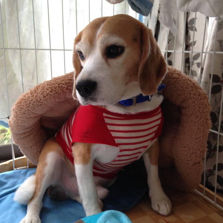 F257f28f 48ae 4c6e b51d 4398c4c75d72