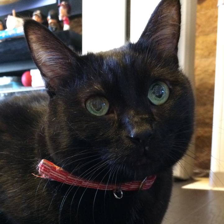 F258f482 656e 456a 8a20 c35530995872