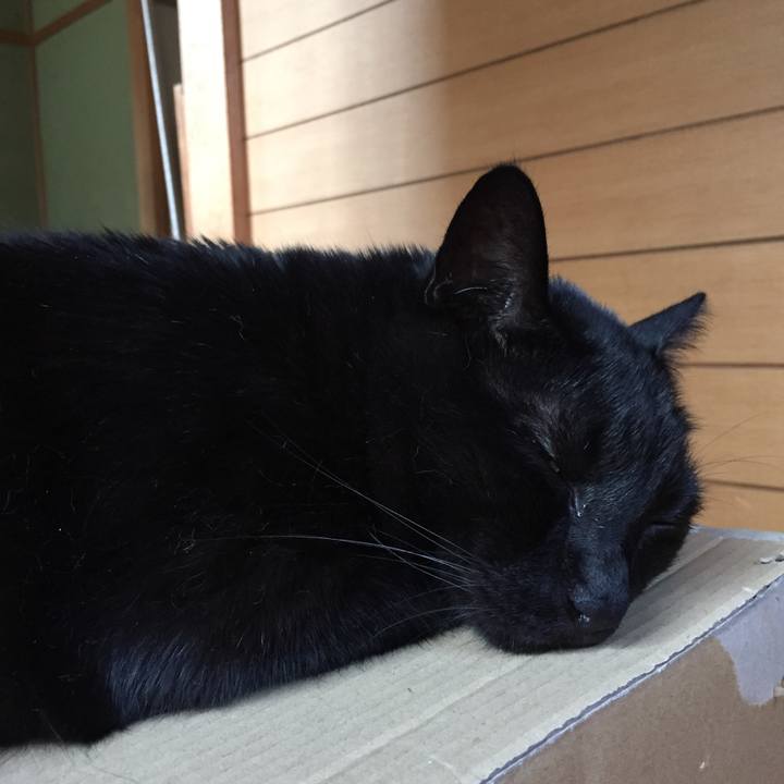 F259c020 3fc3 4df9 8f06 fe38e60b9d9e