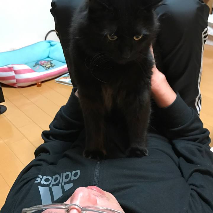 F259cd1c 1b05 45ae ae0a a3bd958de0bb