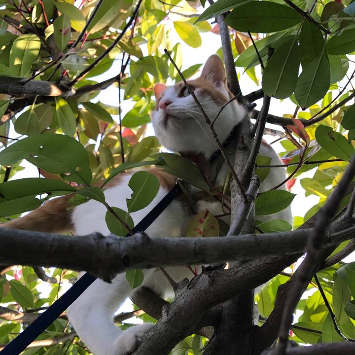 F25a3b53 23e9 4ff8 9019 b8548fdf978c