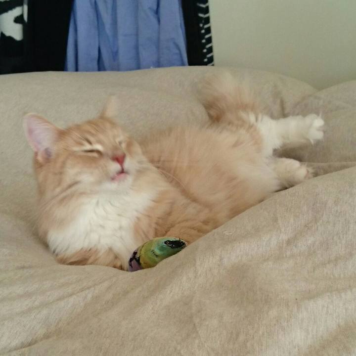 F25a805e adfb 47f0 87f1 7658e2b5b44b