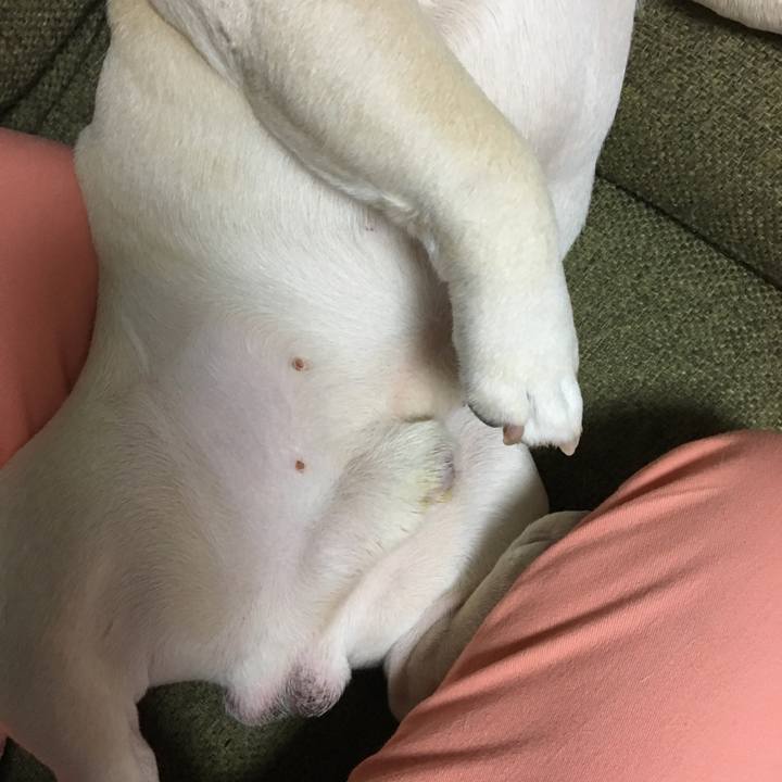 F25a847f a74a 4c69 8902 c3483d78eab7