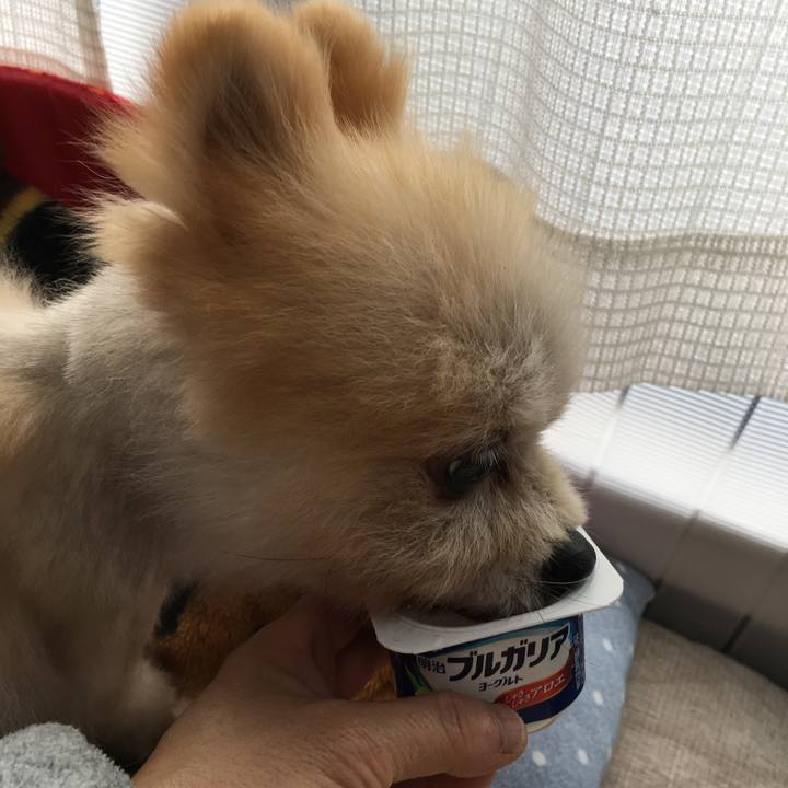 F25abc59 c0aa 401f 97fc 5811be21745a