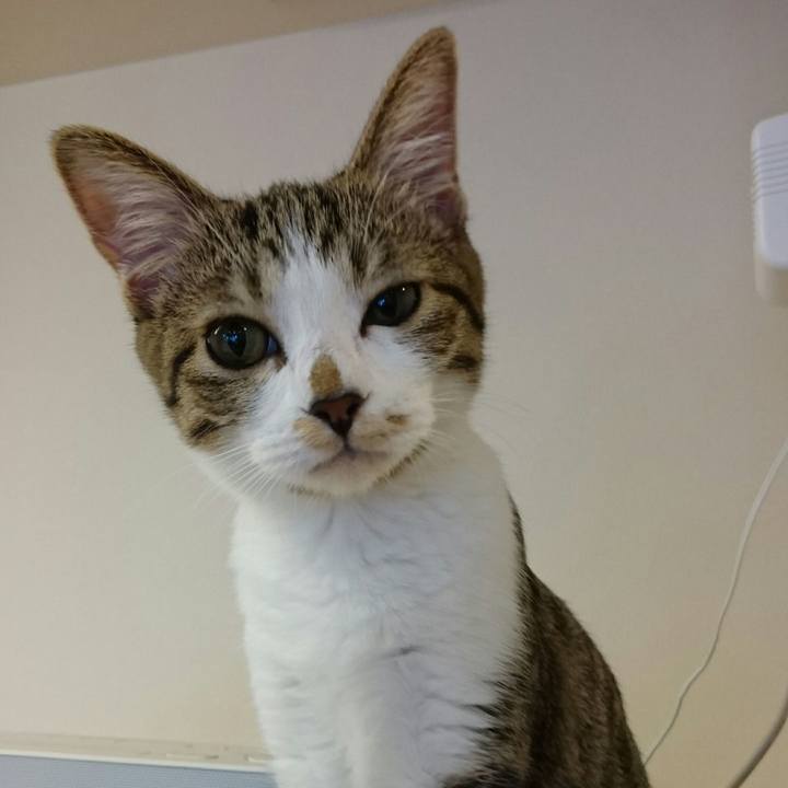 F25b57fe 4d68 46ad 8a81 ad4066f5645f