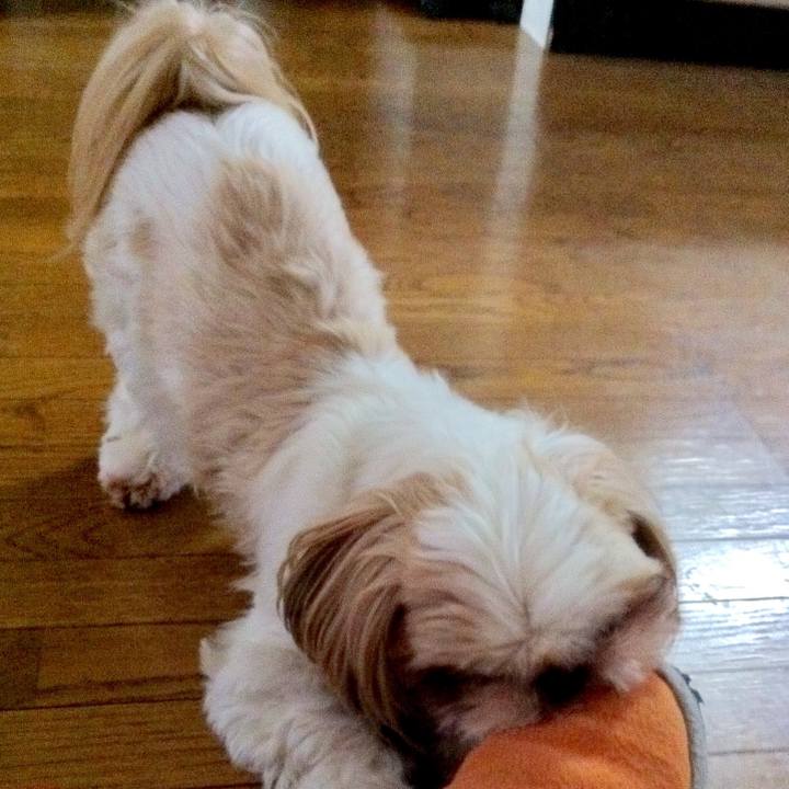 F25b646b ccaa 4735 8e44 34135aff1aa6