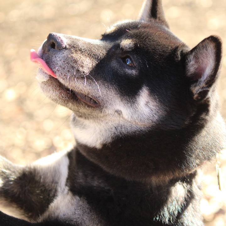 F25c7dd4 c9b2 43d6 8cb9 745cfa576f55