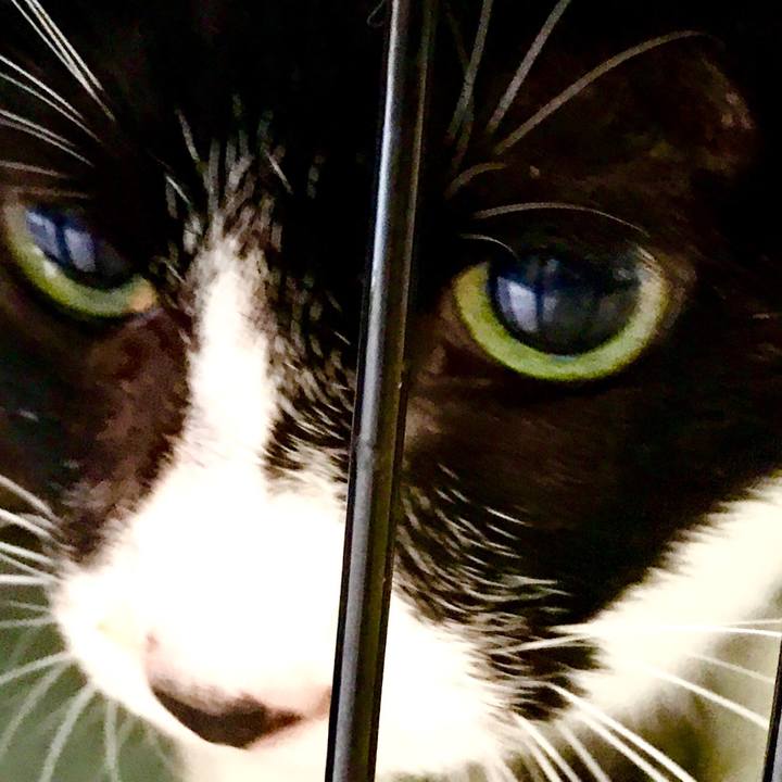 F25c866e 70a2 42aa aecf 3275f7b9502b