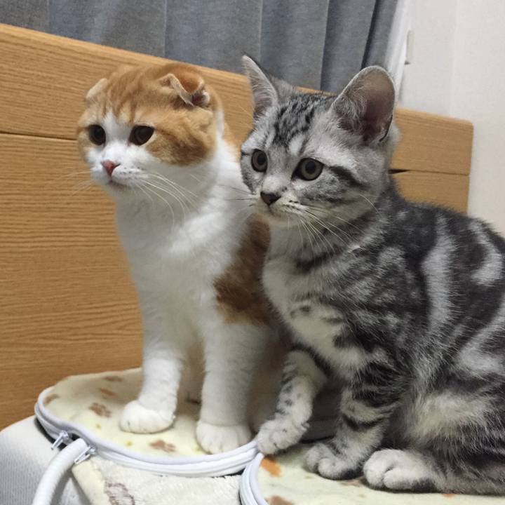 F25cf69e 8c35 47fa 8c62 4a486396ee04