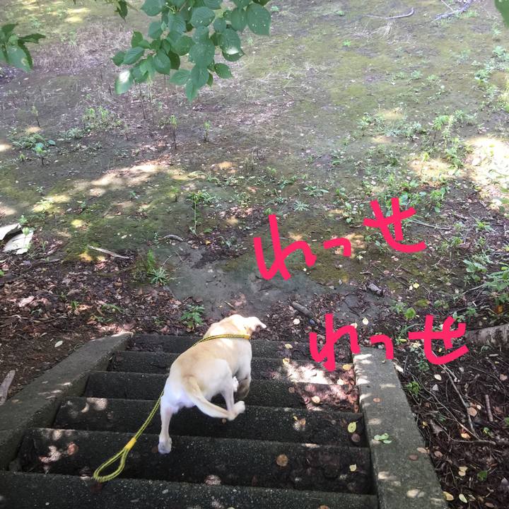 F25d3d60 770b 4b72 be0f 0e87dc1e8fcb