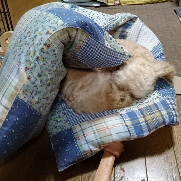 F25da1ca 27a9 4815 ab9c 4651bcd6a89f