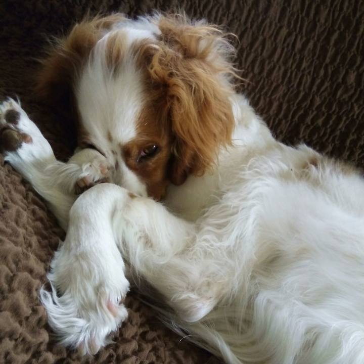 F25dcaf9 0810 4498 aeb5 1856d02bb9ac