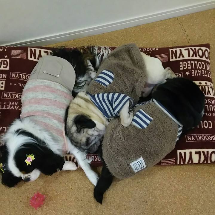 F25e540a 7c07 43e3 9086 d748f0f6d3c3