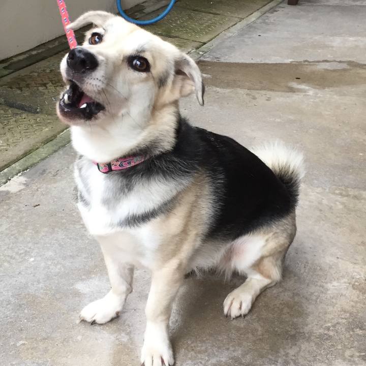 F25eb106 40ea 4605 bdb2 d48a7d80c7c5