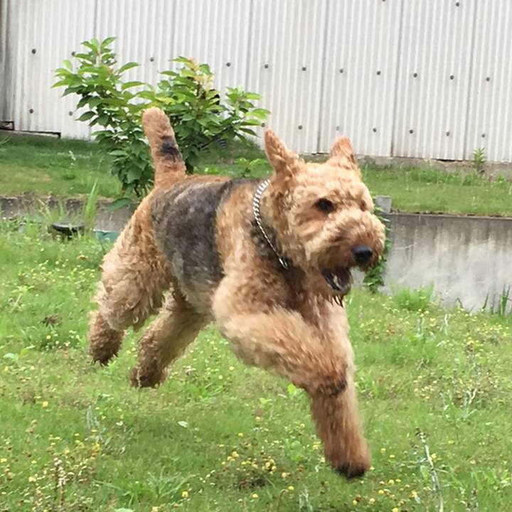 F25f4312 a5ef 4ba6 807f 5c4ffebd572a