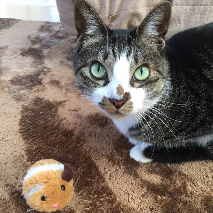 F25fa788 ca12 4fa1 b7fc 4492567773ce