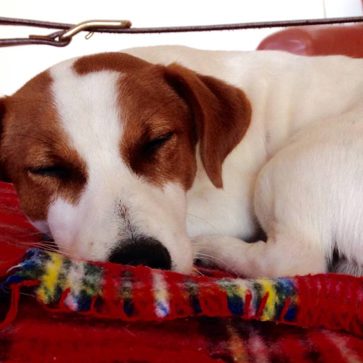 F25fdfb6 b8ab 4a09 9f10 6e54fa35cdd3