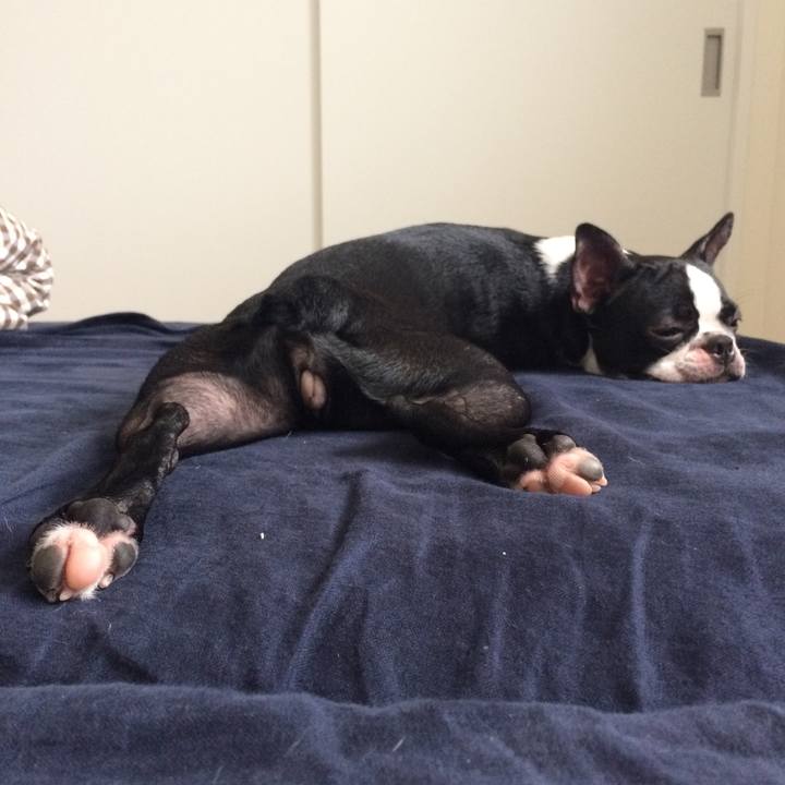 F25ff74b 5cd5 4fda b277 ab44e4b284d5