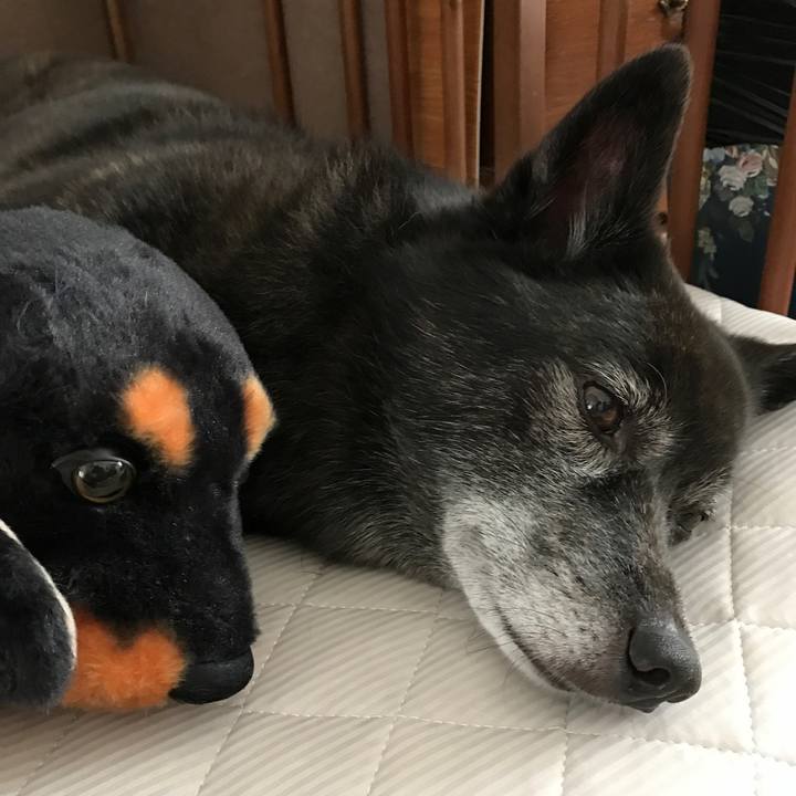 F261152e 6414 49e4 be92 e04ce2fa8b91