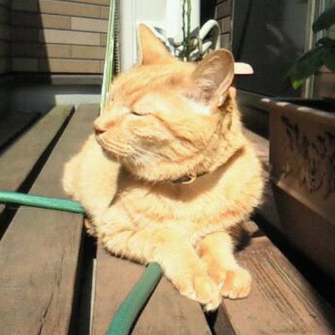 F261b818 36aa 47e8 966d e233fe8d680f