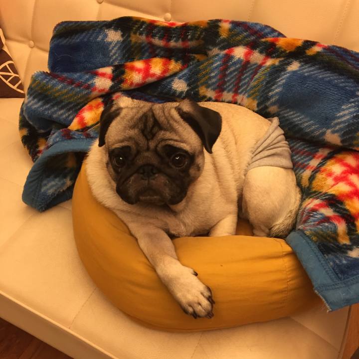 F2623d1a fcd0 4f75 b008 675619c8dbb4