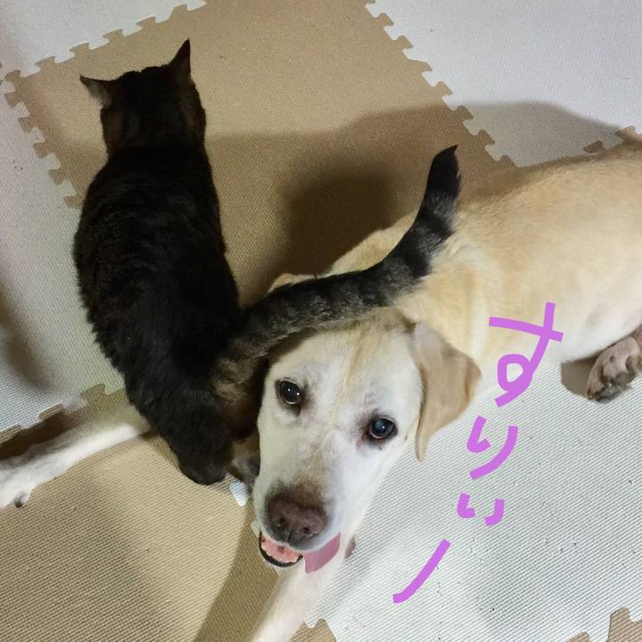 F2623e3a c06c 48d8 9848 3a13954d27c2