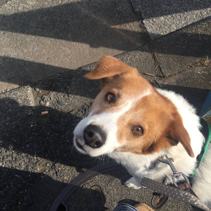 F263c8df afd7 4da1 84ab d68410882fa6