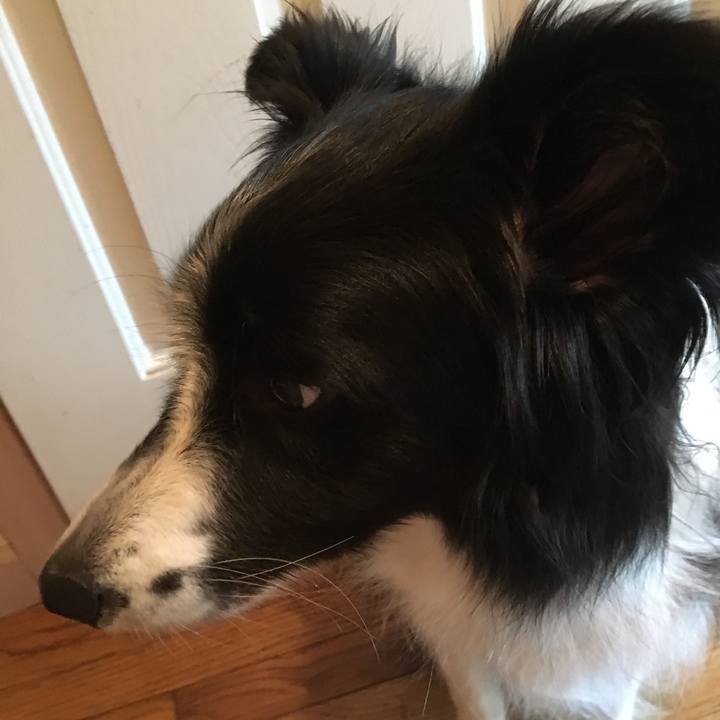 F263d775 c67b 474b 9c43 6e806070b98b