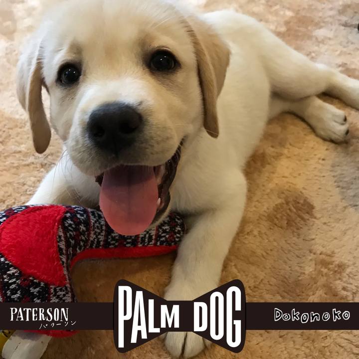 F2654230 acb2 4e63 8799 7d811810780d