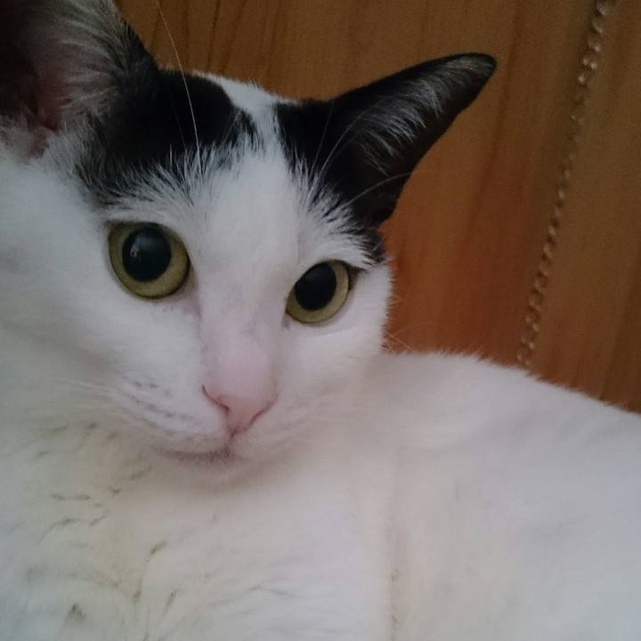 F2661109 6cb2 464f b33e 0ab5b3fbdb2c