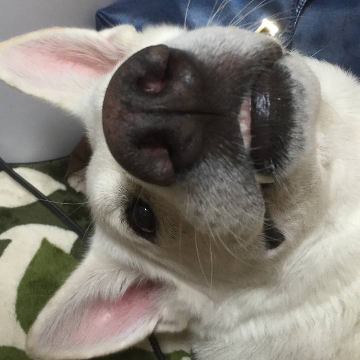 F2665182 ccae 42a3 b8c8 bb79389c6cf5