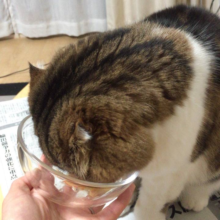 F2667b31 e981 4a02 872f f38721cd42fc