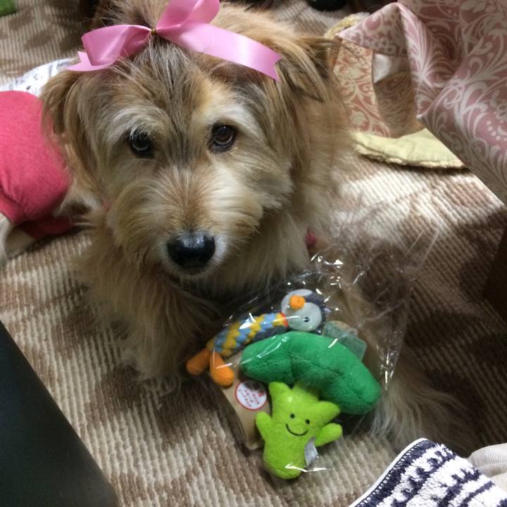 F2674a73 17e7 4ff2 bcaa f4ff9f2f677c