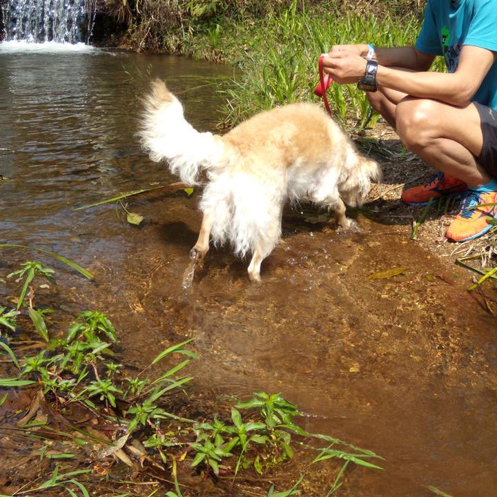 F2675c65 a26a 43ba adb5 c0eee84cd9d7