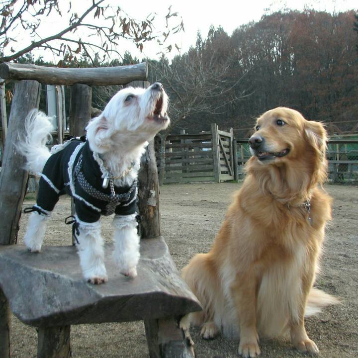 F2685e67 be86 47e2 8098 2e879d70c413