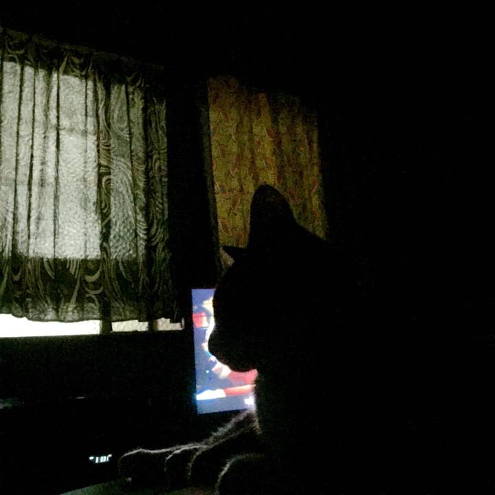 F2690c47 6a6e 487b bc09 9851b701b108