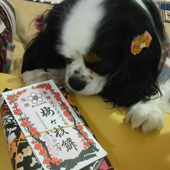 F2698703 300d 404a 9011 9135b0524272