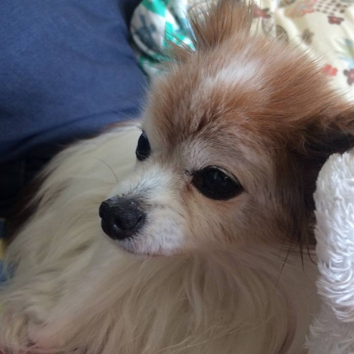 F269f510 5e60 4c7a a83a a53b3a154ea5