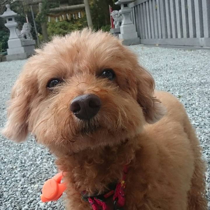 F26a1e6b 1b43 42e4 9d34 08a15a7458c7