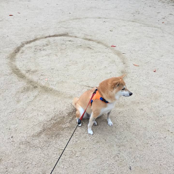 F26aa9a7 8e83 46eb a3b0 807f1a1b6d5e