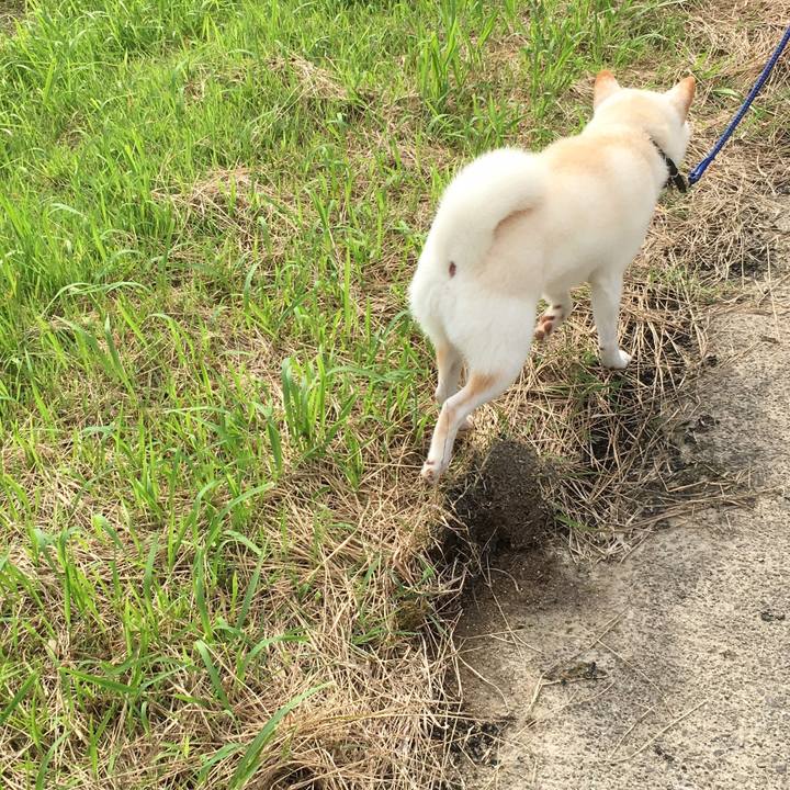 F26acf7f 04c3 4482 b008 cb5ecd31b5ad