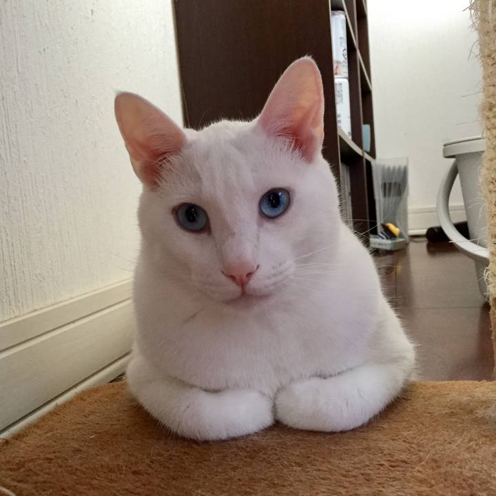 F26b2517 cef7 4f11 8c82 5323dbd3fd1f