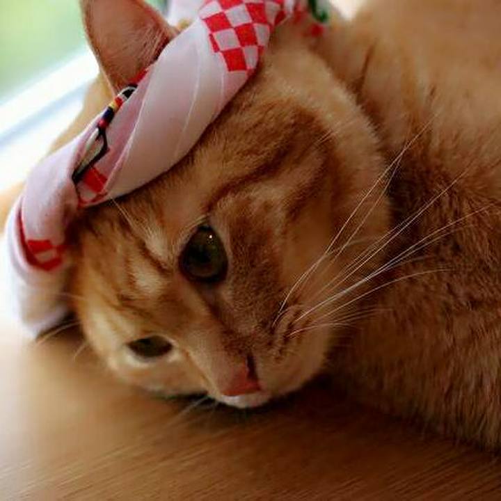 F26b3de0 9e4f 4b37 8a39 b4bc0fd78af1